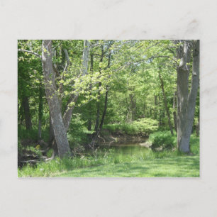 Carte Postale L'Indiana dehors