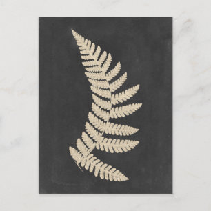 Carte Postale Linen Fern