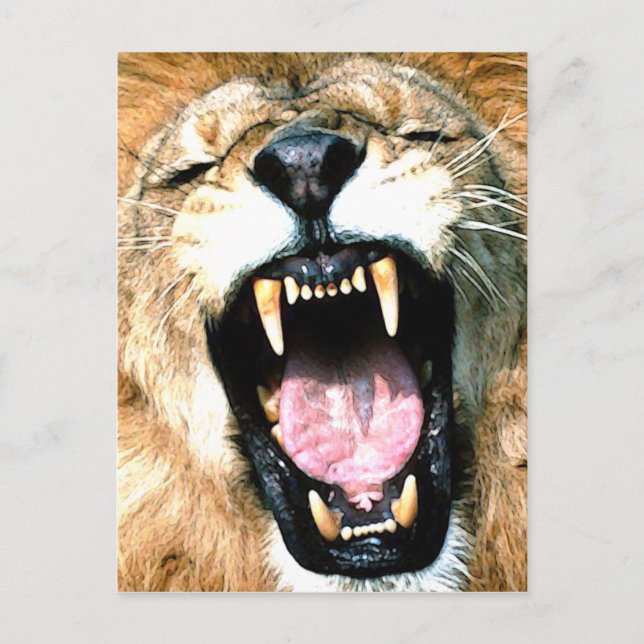 Carte Postale lion (Devant)