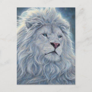 Carte Postale Lion blanc