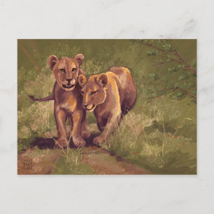 Carte Postale Lion Cubs