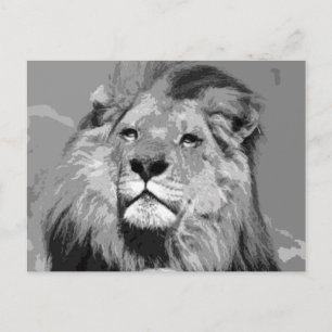 Carte Postale Lion d'Afrique noir et blanc