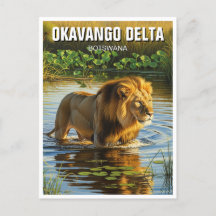 Lion dans le delta de l'Okavango Botswana