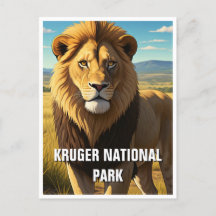 Lion dans le Parc National de Kruger Afrique du Su