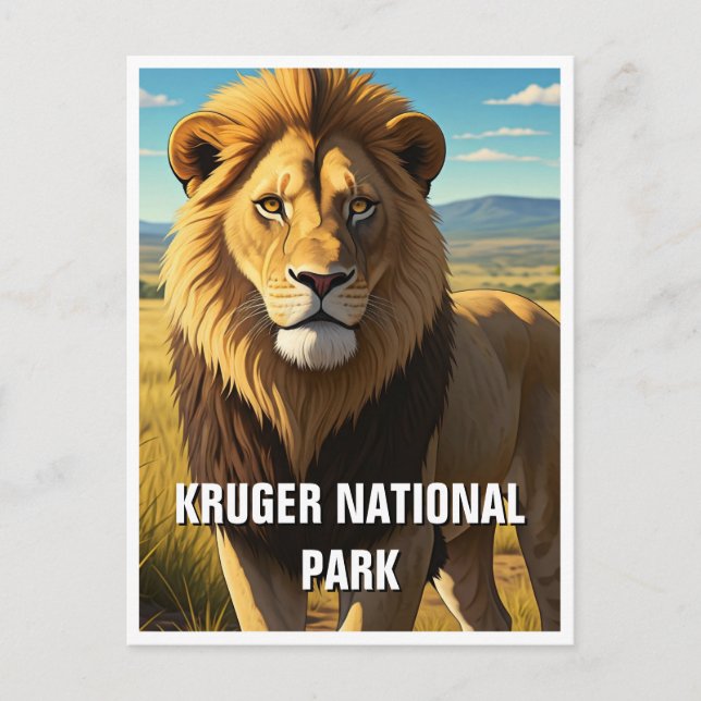 Carte Postale Lion dans le Parc National de Kruger Afrique du Su (Devant)