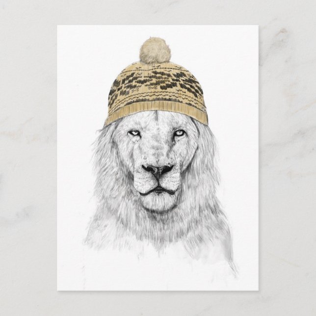 Carte Postale Lion d'hiver (Devant)
