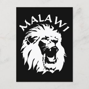 Carte Postale Lion du Malawi