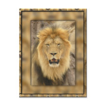Lion encadré