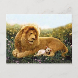 Carte Postale Lion et agneau
