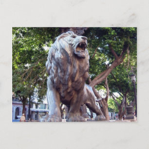 Carte Postale lion havana