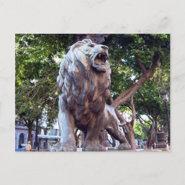 Carte Postale lion havana (Devant)