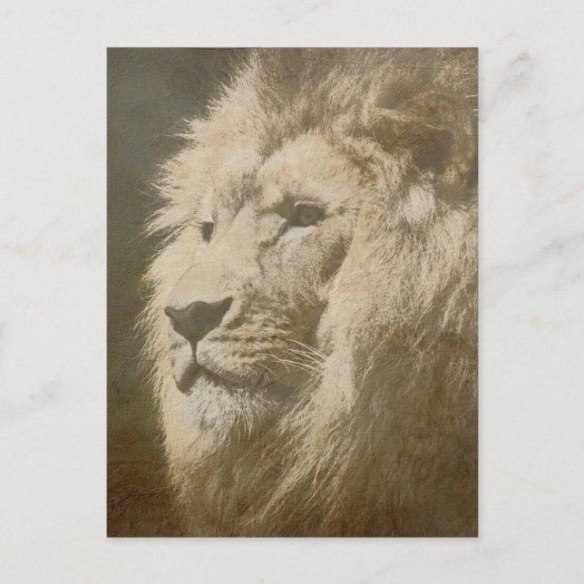 Carte Postale Lion Head The King Modern Pop Art Modèle Animal (Devant)