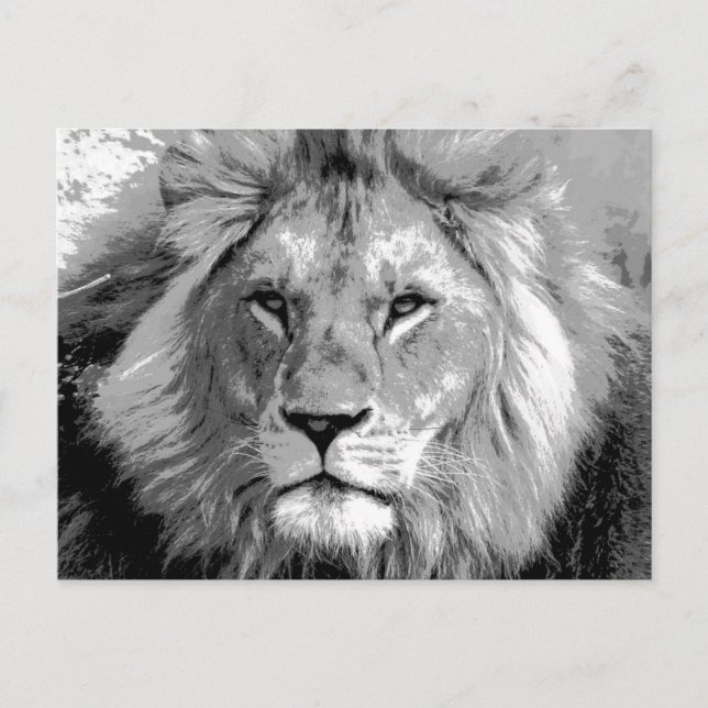 Carte Postale Lion noir blanc (Devant)