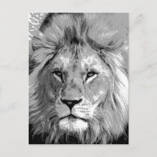 Carte Postale Lion noir blanc (Devant)