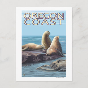 Carte Postale Lions de la mer de l'Oregon