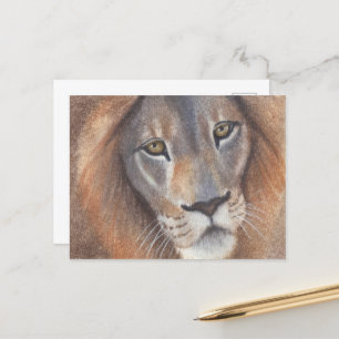 Carte Postale Lion's Eyes