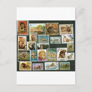Carte Postale Lions sur timbres