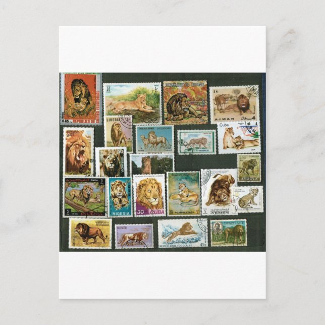 Carte Postale Lions sur timbres (Devant)