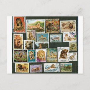 Carte Postale Lions sur timbres