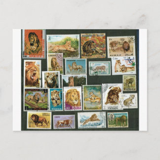 Carte Postale Lions sur timbres