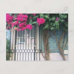 Carte Postale Lisbonne Carreaux & Fleurs Bouganvillea
