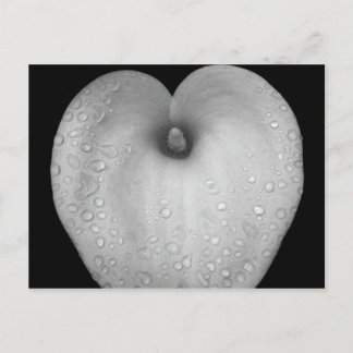 Carte Postale Lit avec gouttes de pluie