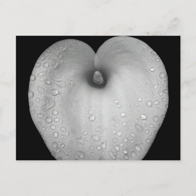 Carte Postale Lit avec gouttes de pluie (Devant)
