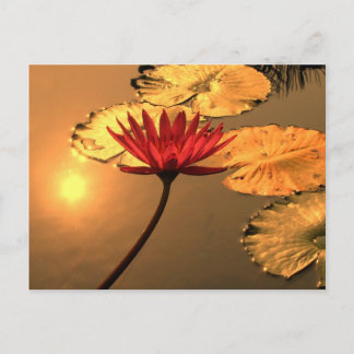 Carte Postale Lit d'eau radiant avec le soleil Reflétant