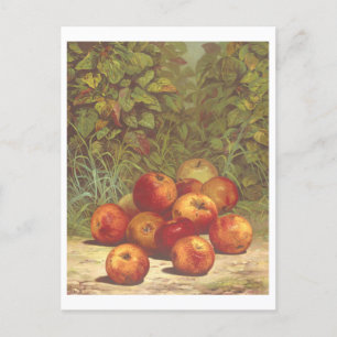 Carte postale Lithographe vintage Apple