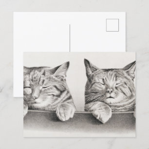 Carte Postale Lithographie de chats dormant vintage, 1874