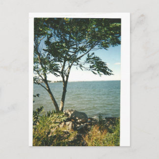 Carte Postale Little Bay Park