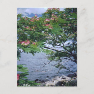 Carte Postale Little Bay Park, Queens, NY