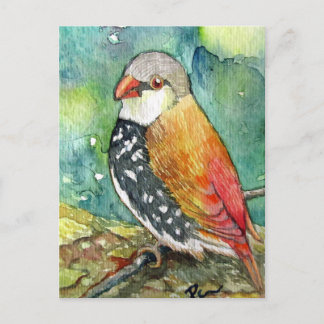 Carte Postale Little Birdy