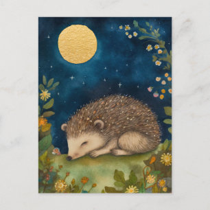 Carte postale Little Hedghog couchage