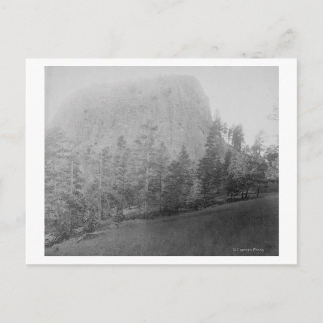 Carte Postale Little Missouri Butte Beyod Champ et arbres (Devant)