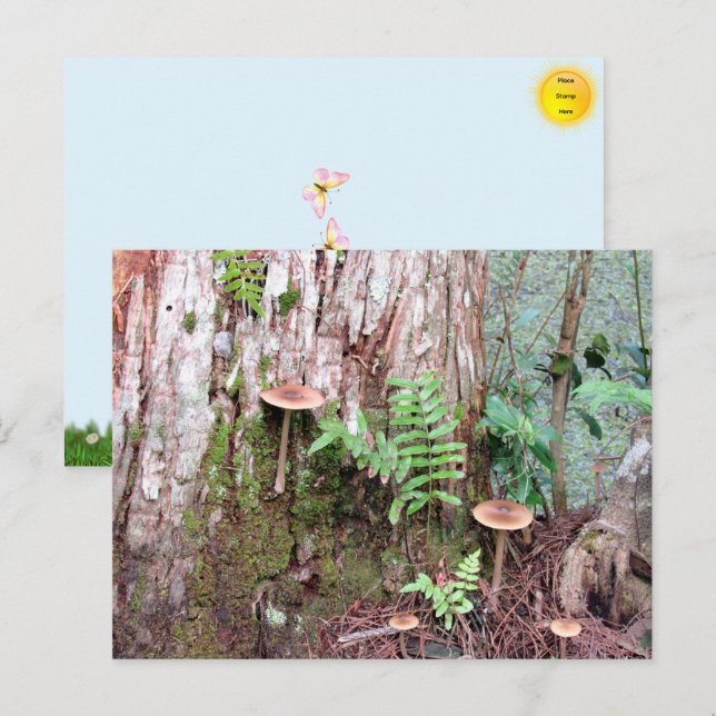 Carte postale Little Musrooms (Devant / Derrière)