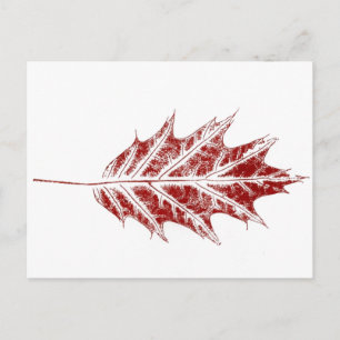 Carte postale "Little Red Oak" Country Road