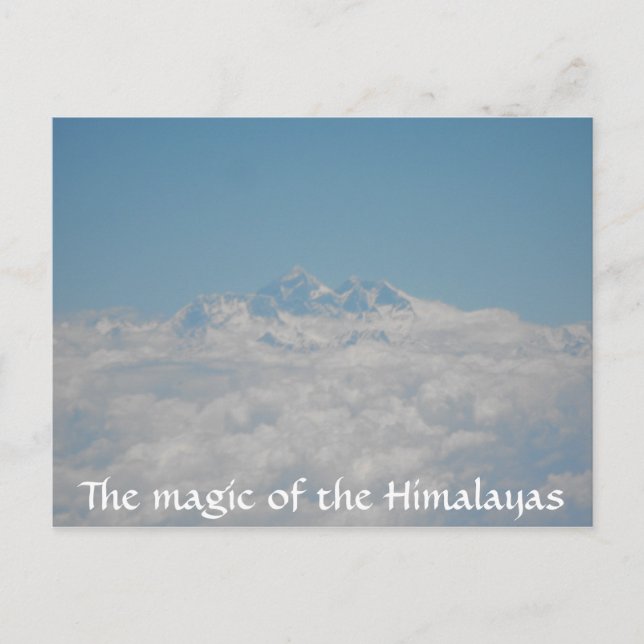 Carte postale Little Seeds 4 (Devant)