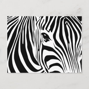 Carte postale Little Zebra