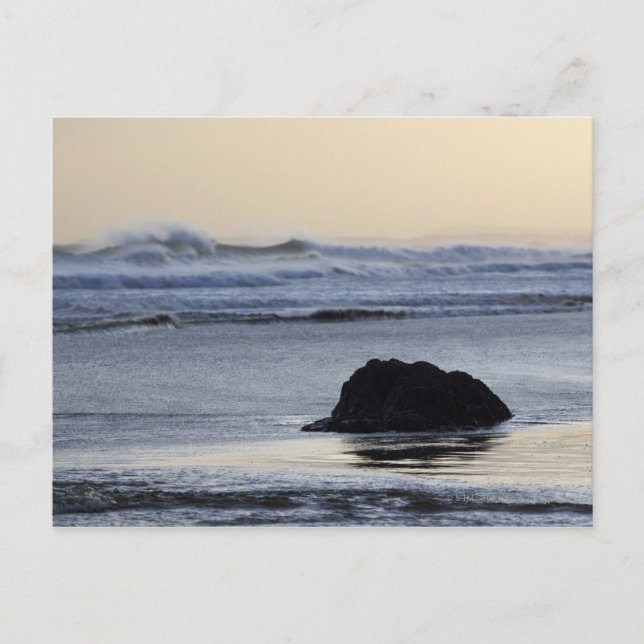Carte Postale littoral à l'aube (Devant)