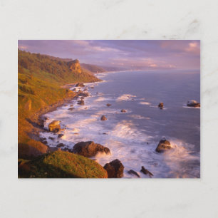 Carte Postale Littoral des séquoias, Californie