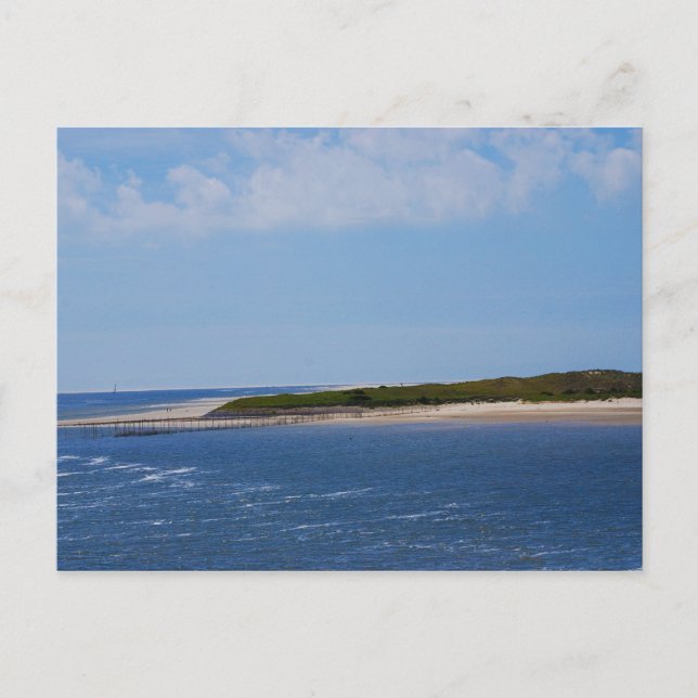 Carte Postale Littoral Texel (Devant)