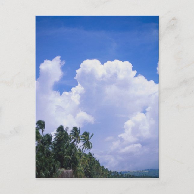 Carte Postale Littoral tropical (Devant)