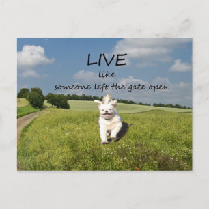 Carte Postale "Live Like One Left Gate Open"