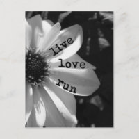 Live Love Run by Vetro Designs