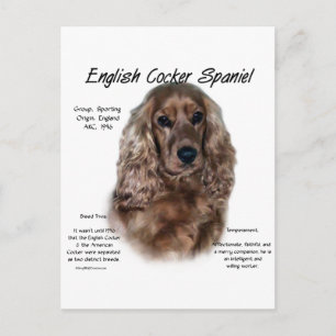 Carte Postale Liver Anglais Cocker Histoire Espagnole