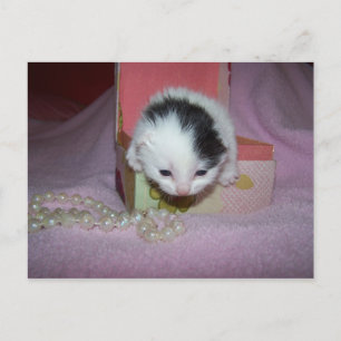 Carte Postale Livraison postale