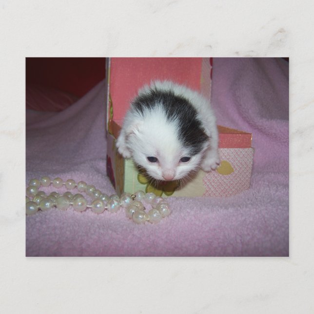 Carte Postale Livraison postale (Devant)