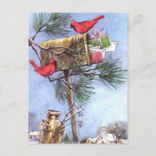 Carte Postale Livraison spéciale, Cardinaux dans une boîte aux l