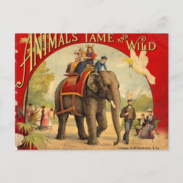 Carte Postale Livre rouge éléphant (Devant)